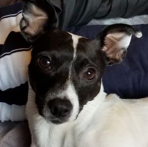 Meet your Posher, Marcell